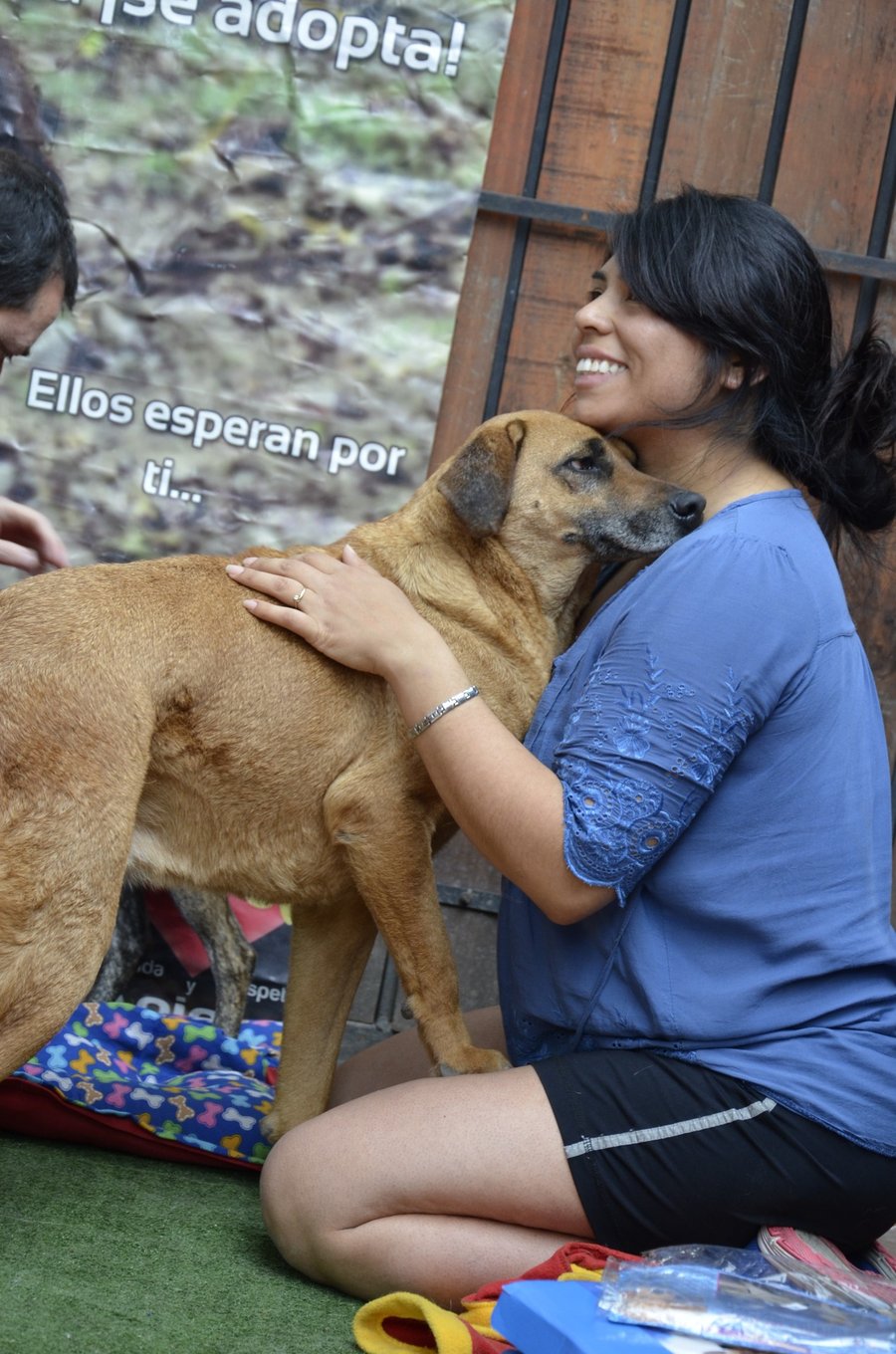 Voluntaria de VYRA abrazando a un perro rescatado que se da en adopción
